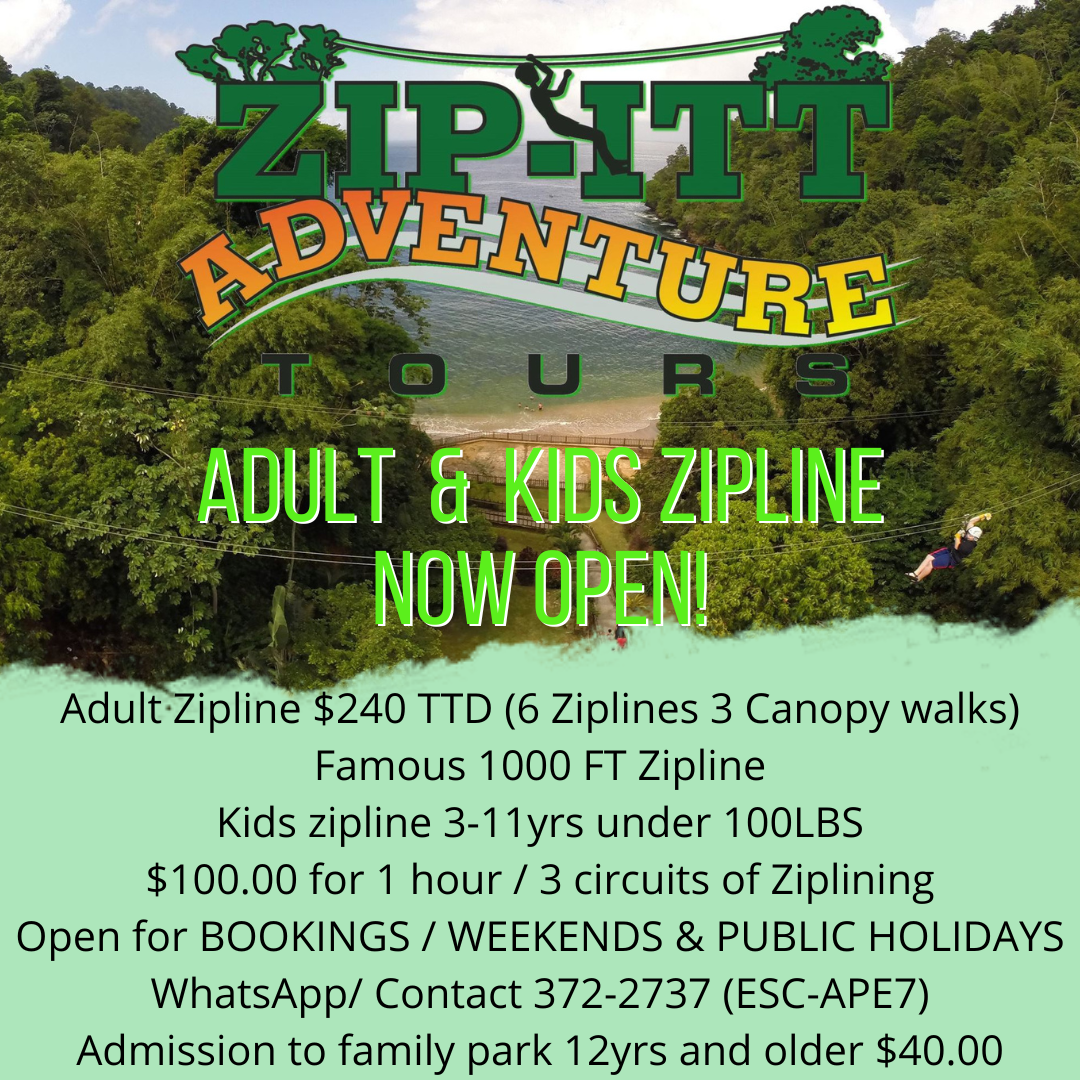 adult and kids zipline popup